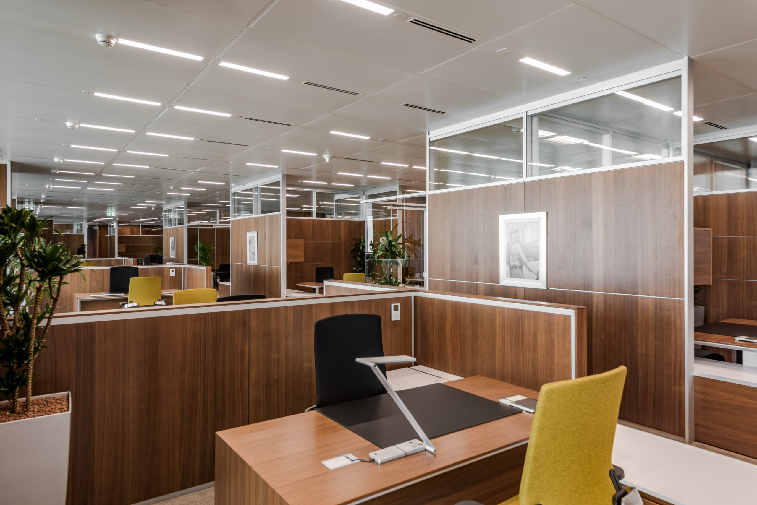 03-ADNOC-OPEN OFFICE
