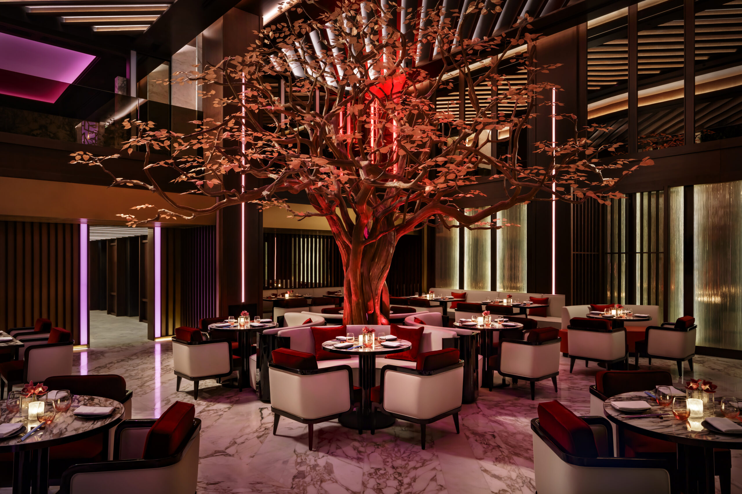 Ling Ling_Dining room with tree